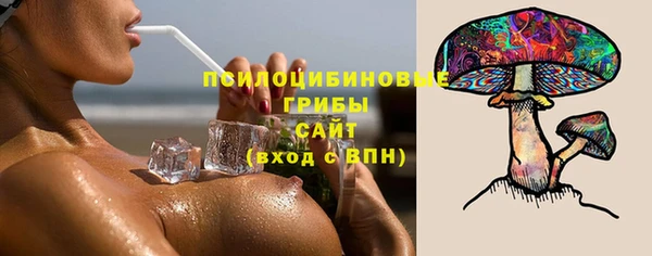 гашик Александровское