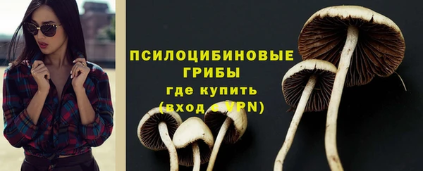 мет Ладушкин