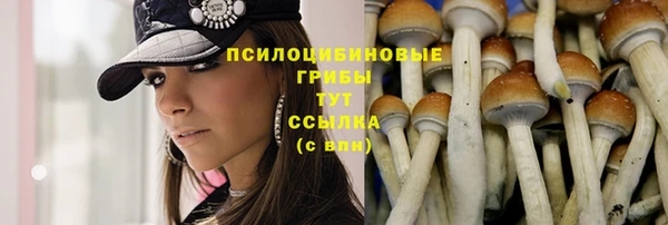 спайс Лагань
