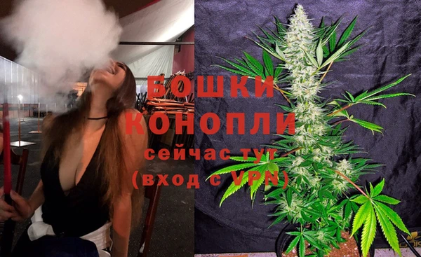 спайс Лагань