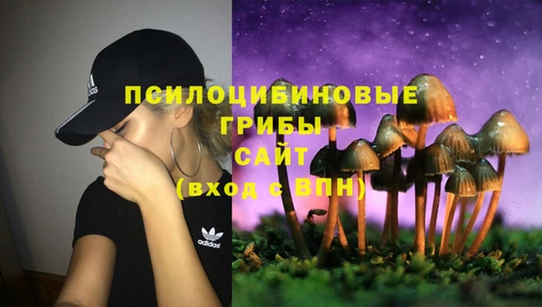 спайс Лагань
