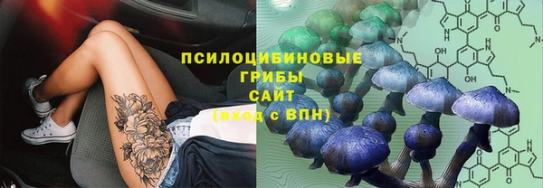 мет Ладушкин